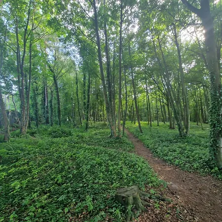 Osrodek Promenada- Jastrzębia Góra