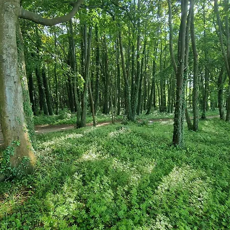 Osrodek Promenada- *
