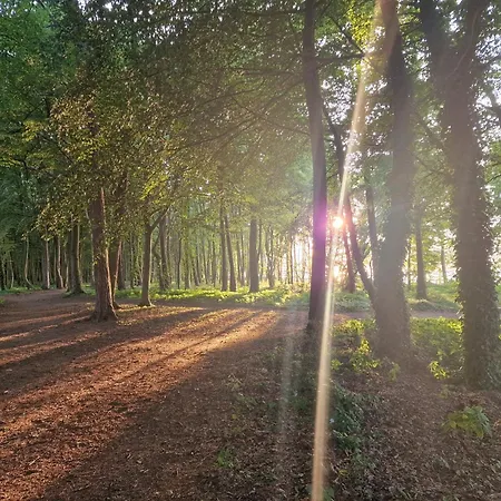 Osrodek Promenada- Casa de Férias Jastrzębia Góra