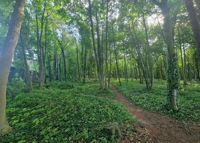Osrodek Promenada- Jastrzębia Góra