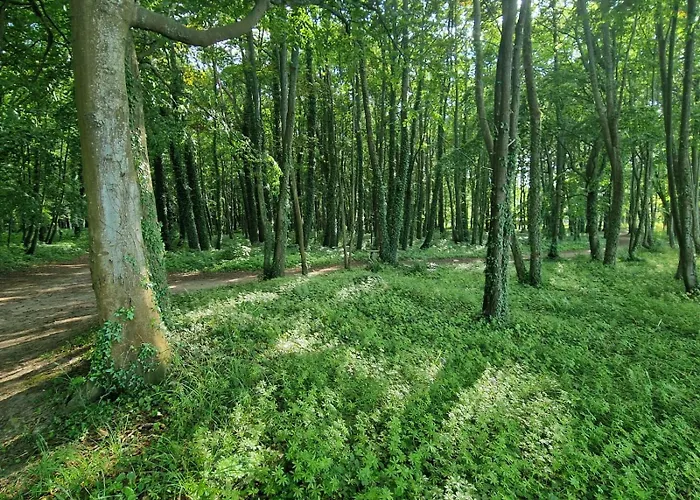 Osrodek Promenada- *
